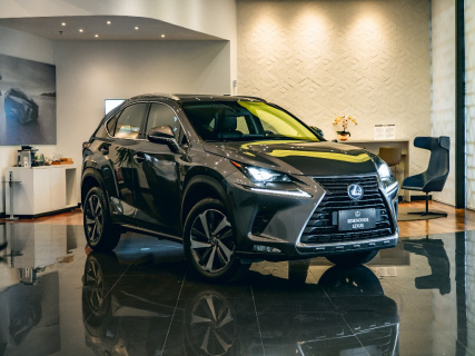 LEXUS NX 300H 2.5 16V VVT-I HYBRID LUXURY AUT AWD